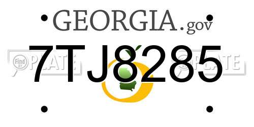 7TJ8285 Georgia License Plate