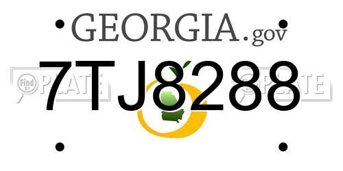 7TJ8288 Georgia License Plate