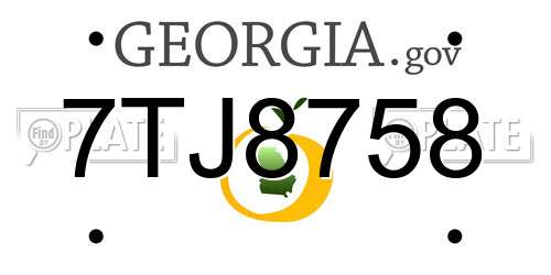 7TJ8758 Georgia License Plate
