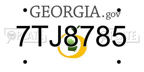 7TJ8785 Georgia License Plate