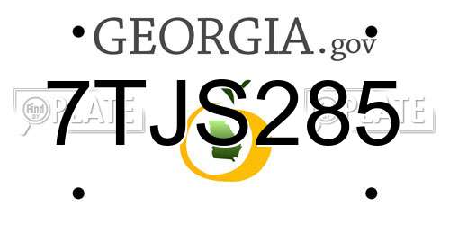 7TJS285 Georgia License Plate