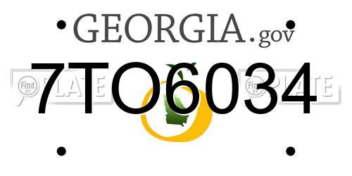 7TO6034 Georgia License Plate