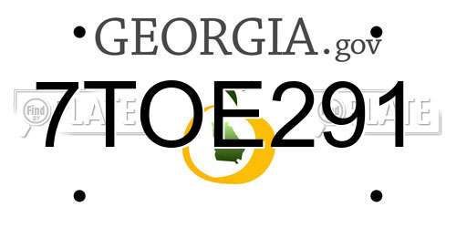 7TOE291 Georgia License Plate