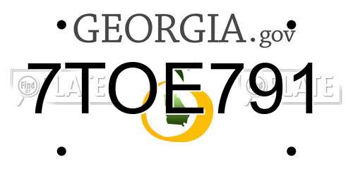 7TOE791 Georgia License Plate