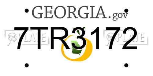 7TR3172 Georgia License Plate