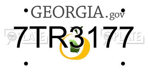 7TR3177 Georgia License Plate