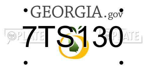 7TS130 Georgia License Plate
