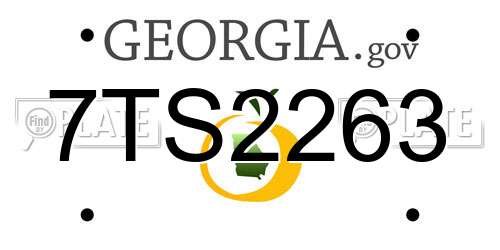 7TS2263 Georgia License Plate