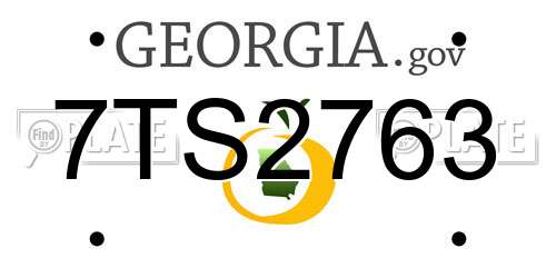7TS2763 Georgia License Plate