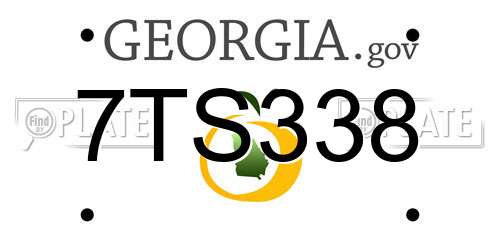 7TS338 Georgia License Plate