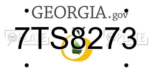 7TS8273 Georgia License Plate