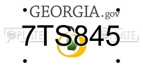 7TS845 Georgia License Plate
