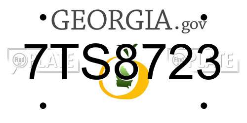 7TS8723 Georgia License Plate