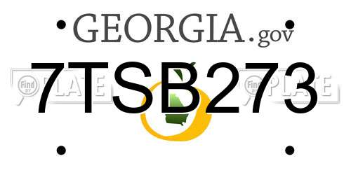7TSB273 Georgia License Plate