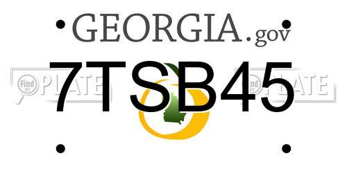 7TSB45 Georgia License Plate