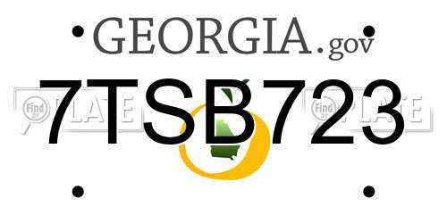 7TSB723 Georgia License Plate