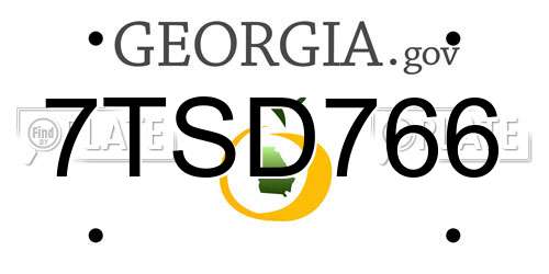 7TSD766 Georgia License Plate