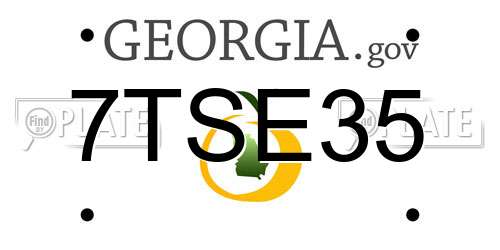 7TSE35 Georgia License Plate