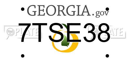 7TSE38 Georgia License Plate