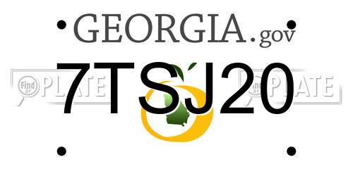 7TSJ20 Georgia License Plate