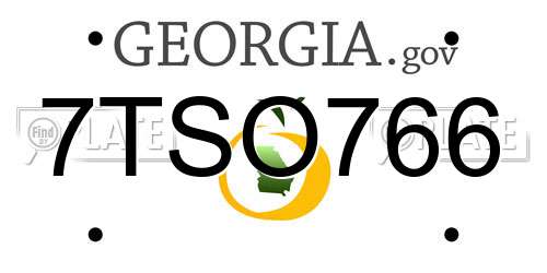 7TSO766 Georgia License Plate