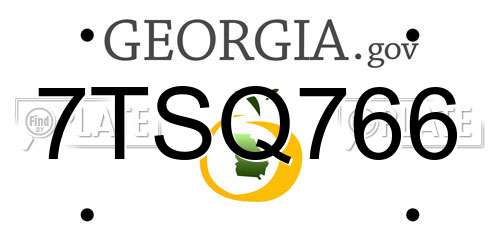 7TSQ766 Georgia License Plate