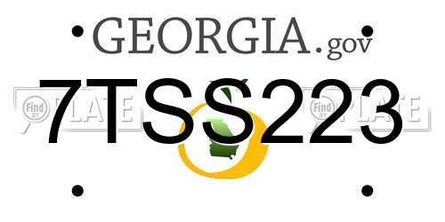 7TSS223 Georgia License Plate
