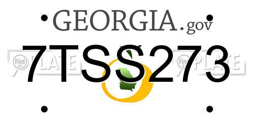7TSS273 Georgia License Plate
