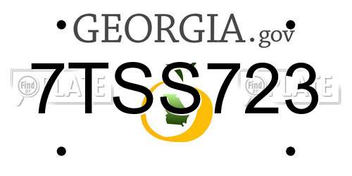 7TSS723 Georgia License Plate