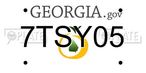 7TSY05 Georgia License Plate