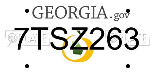 7TSZ263 Georgia License Plate