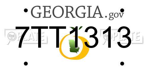 7TT1313 Georgia License Plate