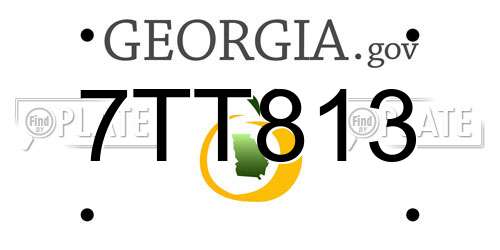 7TT813 Georgia License Plate