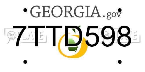 7TTD598 Georgia License Plate