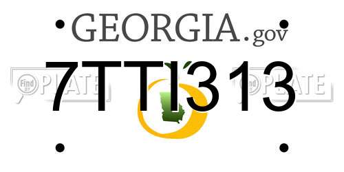 7TTI313 Georgia License Plate