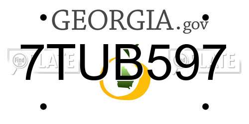 7TUB597 Georgia License Plate