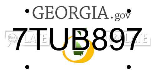 7TUB897 Georgia License Plate