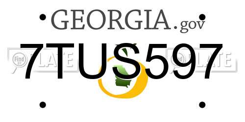 7TUS597 Georgia License Plate