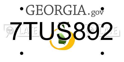 7TUS892 Georgia License Plate