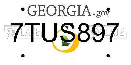 7TUS897 Georgia License Plate
