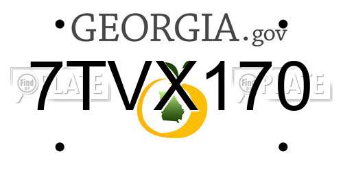 7TVX170 Georgia License Plate