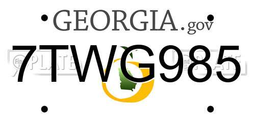 7TWG985 Georgia License Plate