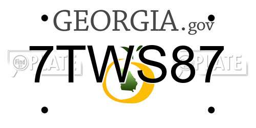 7TWS87 Georgia License Plate