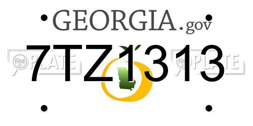 7TZ1313 Georgia License Plate