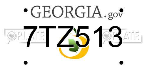 7TZ513 Georgia License Plate