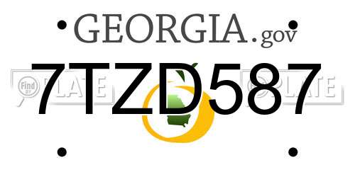 7TZD587 Georgia License Plate