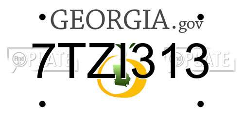 7TZI313 Georgia License Plate