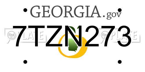 7TZN273 Georgia License Plate