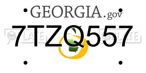 7TZQ557 Georgia License Plate