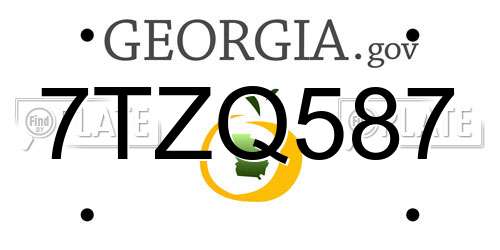 7TZQ587 Georgia License Plate